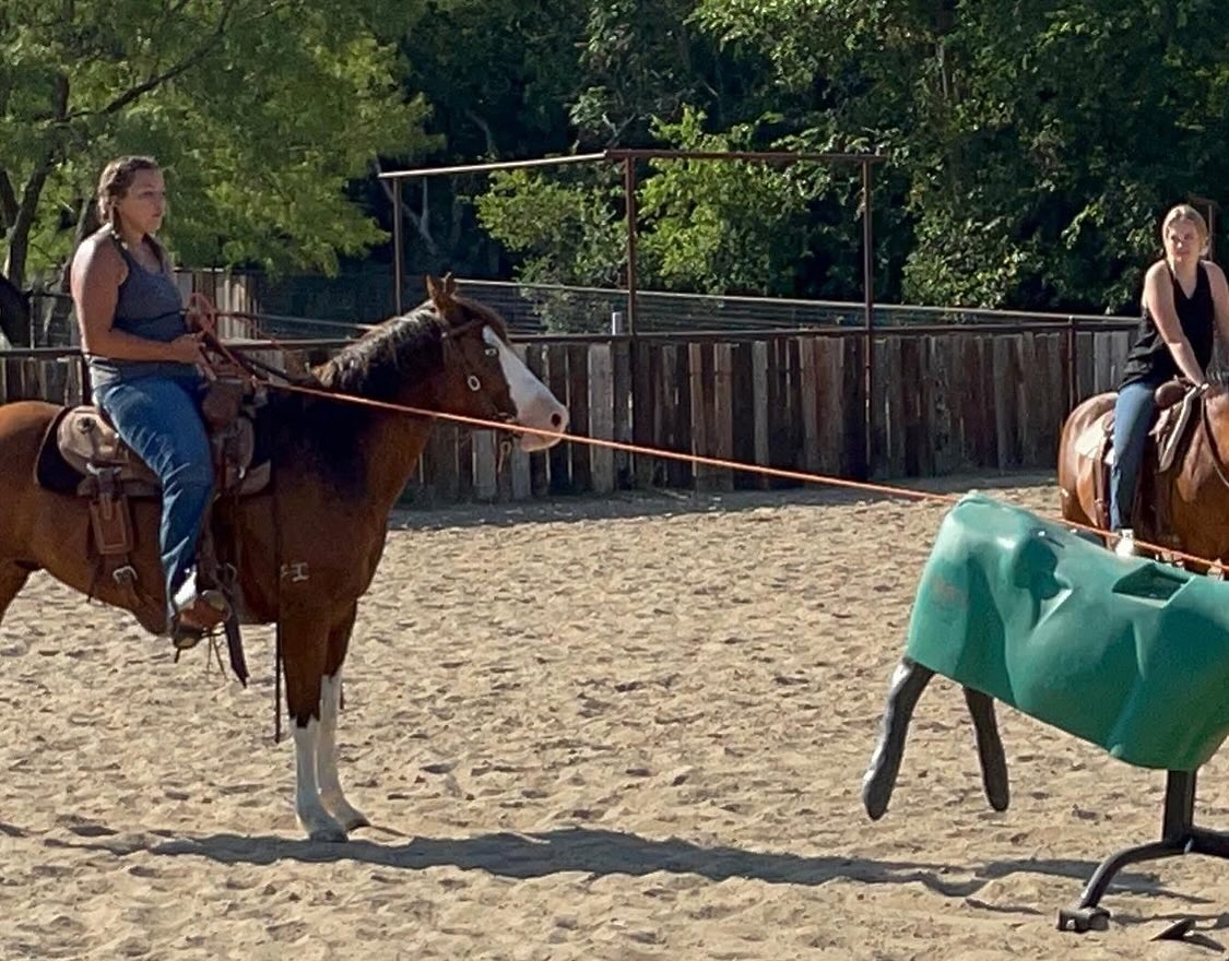 TnT Ranch & Tom Davis... - TnT Ranch & Tom Davis Horsemanship