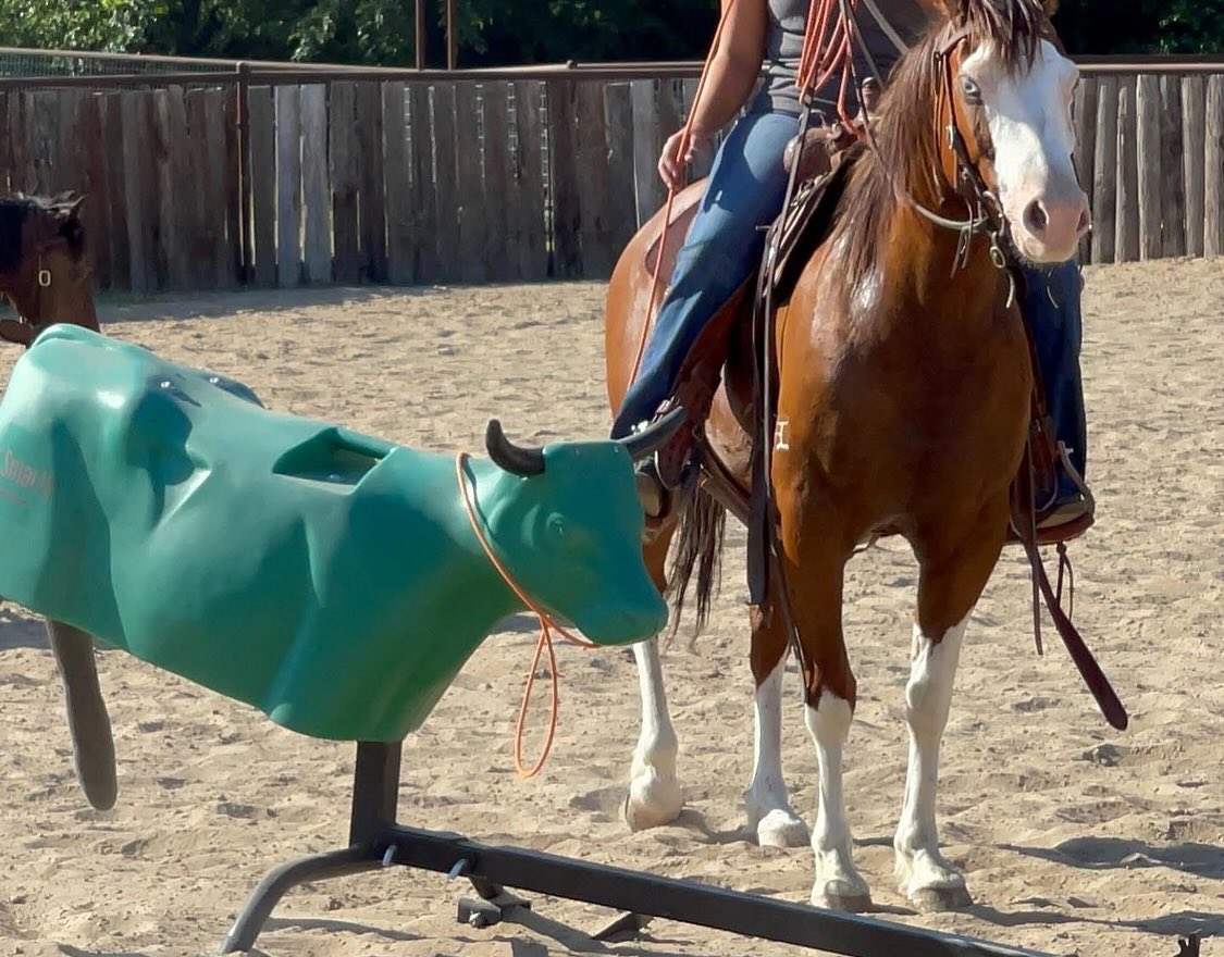 TnT Ranch & Tom Davis... - TnT Ranch & Tom Davis Horsemanship