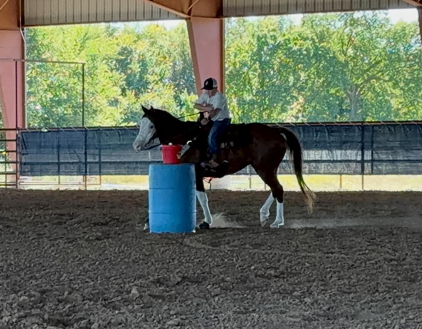 TnT Ranch & Tom Davis... - TnT Ranch & Tom Davis Horsemanship