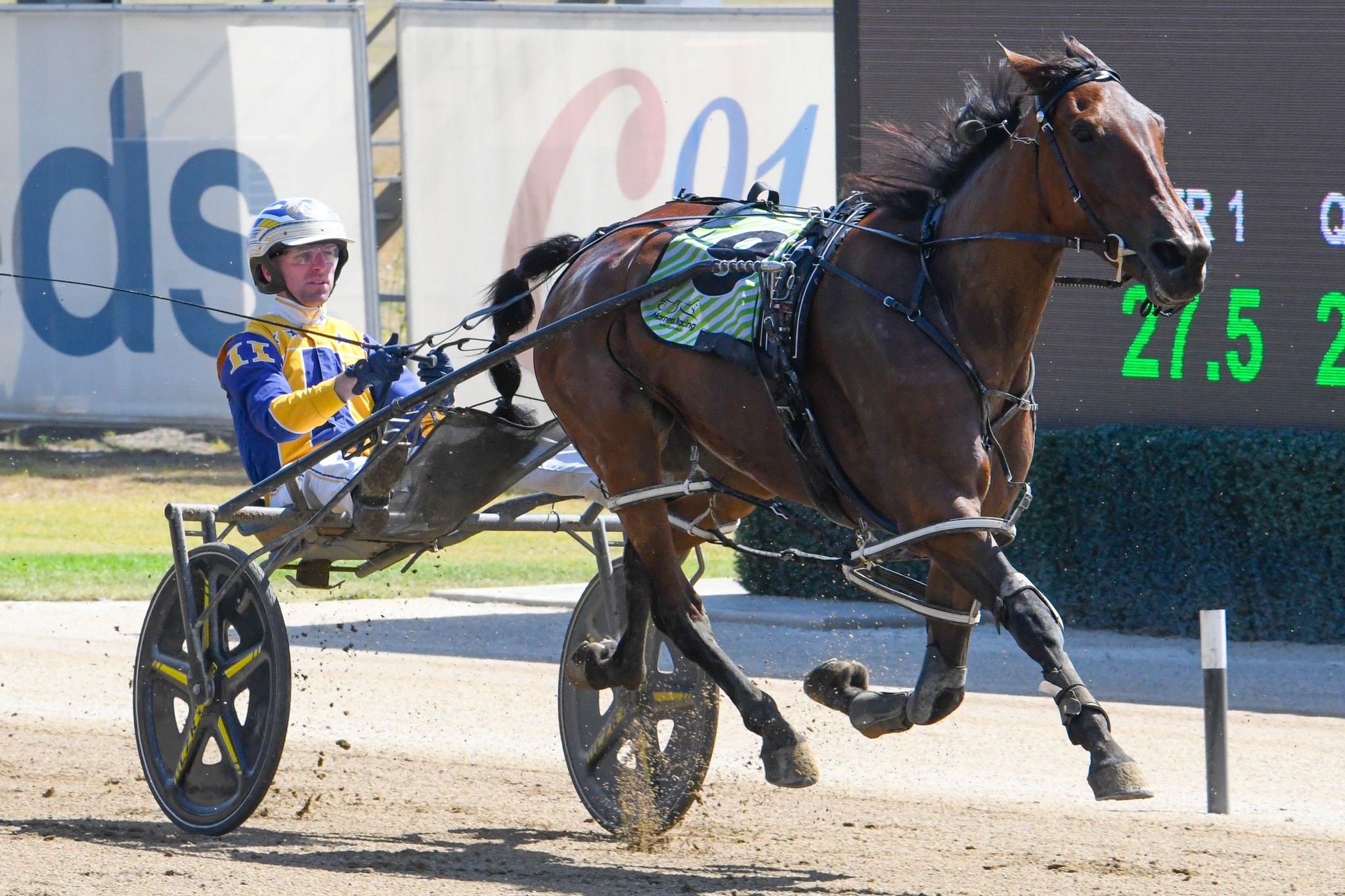 Club Menangle - Oursurfinsafari makes it two wins from her... | Facebook
