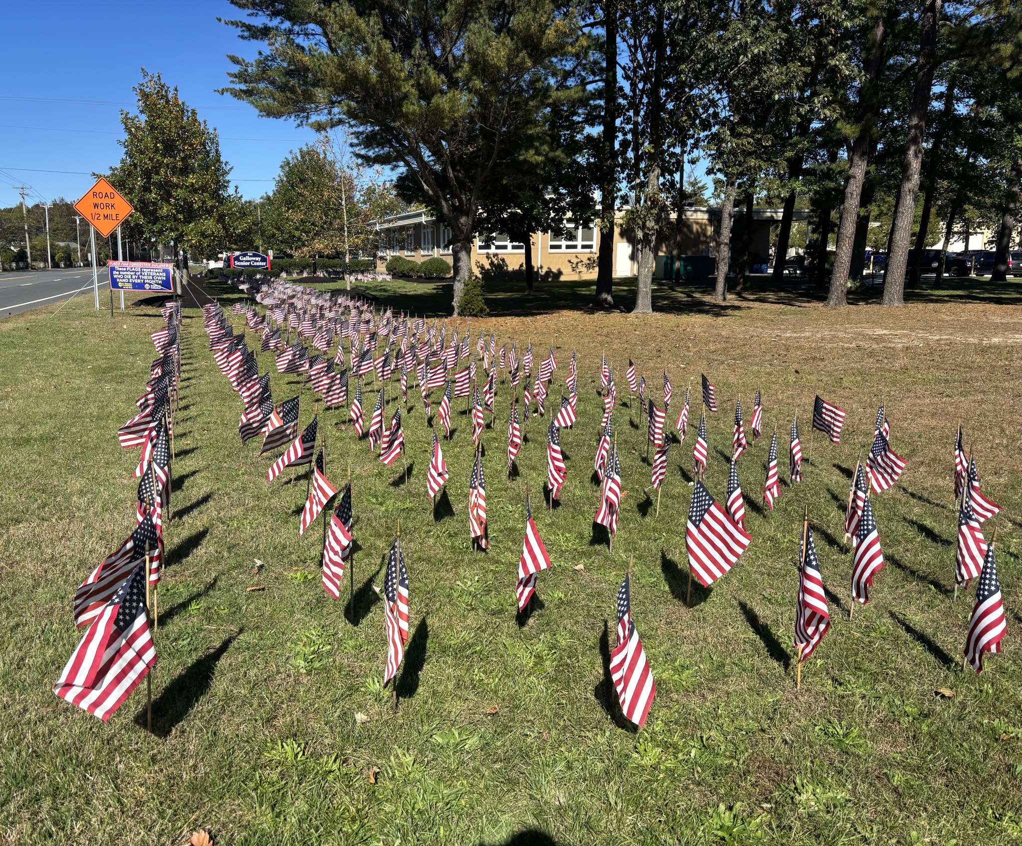 Flags For Forgotten... - Flags For Forgotten Soldiers