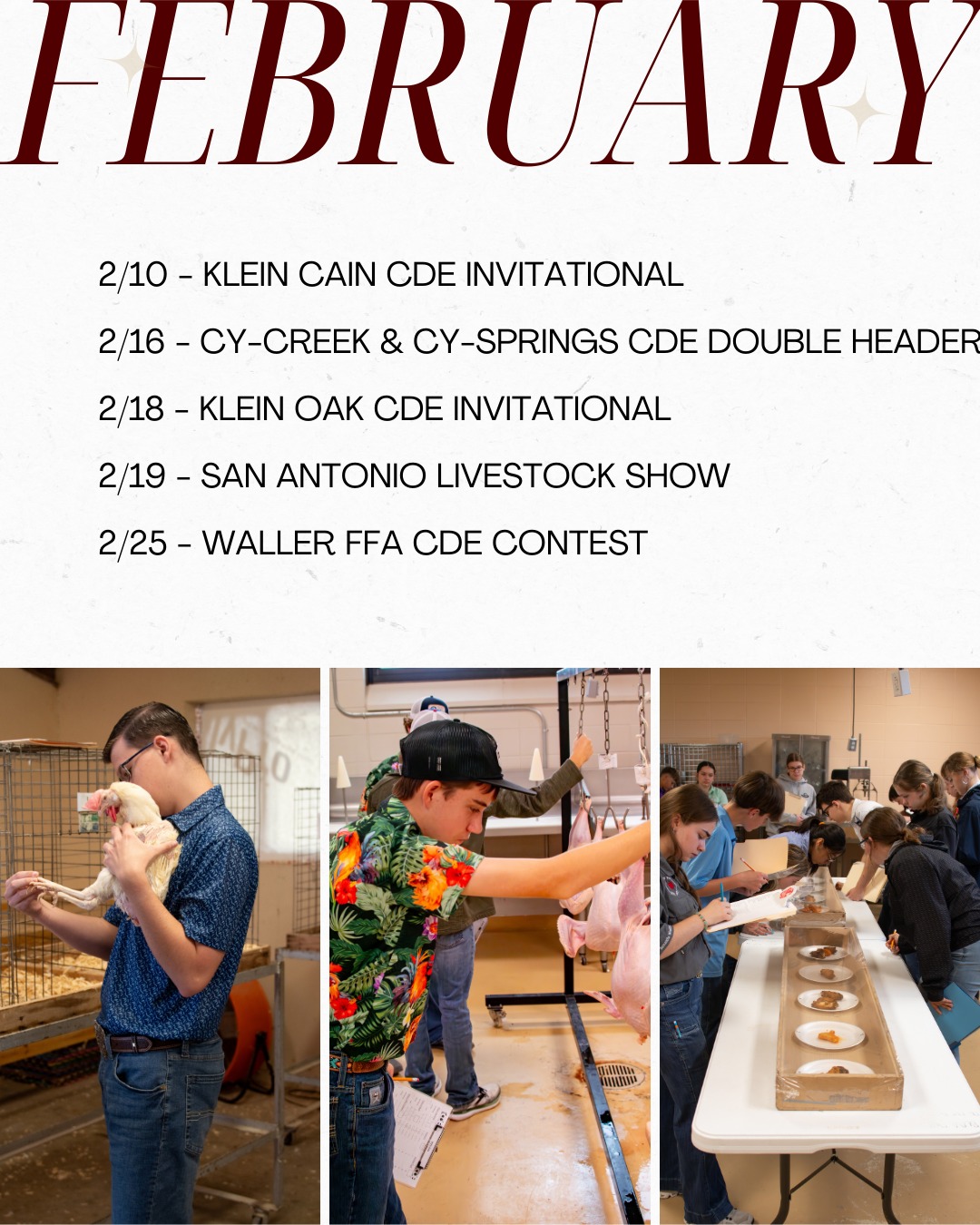 Texas A&M... - Texas A&M University Poultry Science