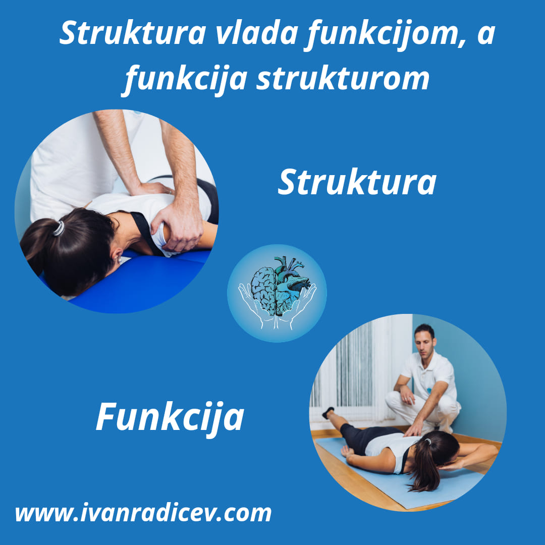 Struktura vlada funkcijom,... - Ivan Radičev - Život Bez Boli | Facebook