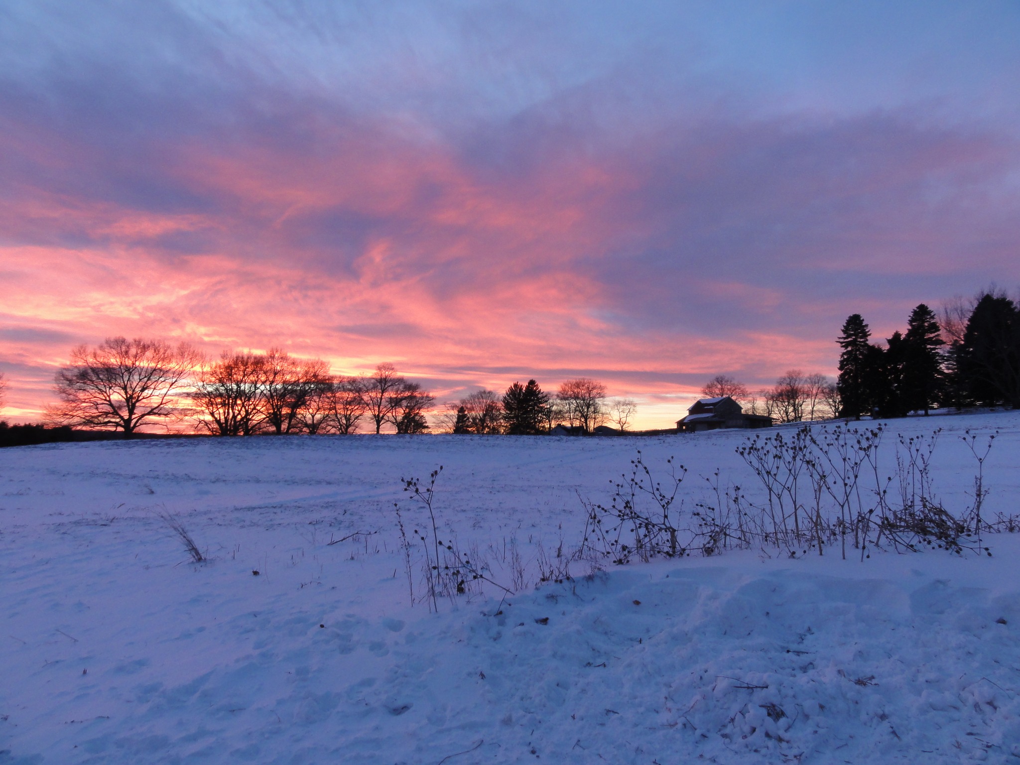 Delaware Nature Society added a... - Delaware Nature Society