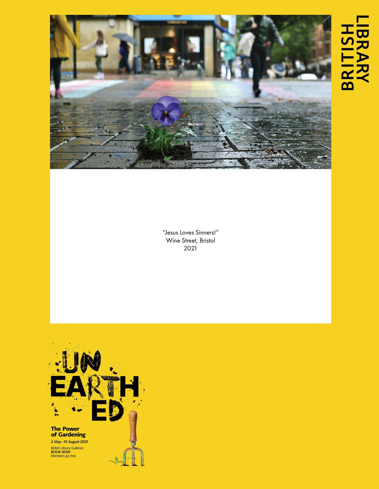 The Pansy Project