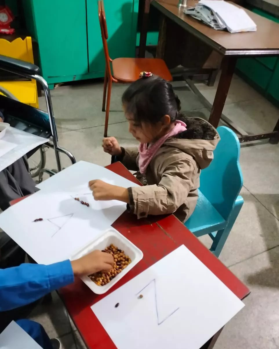 PSRD - Pakistan Society for Rehabilitation of the Disabled