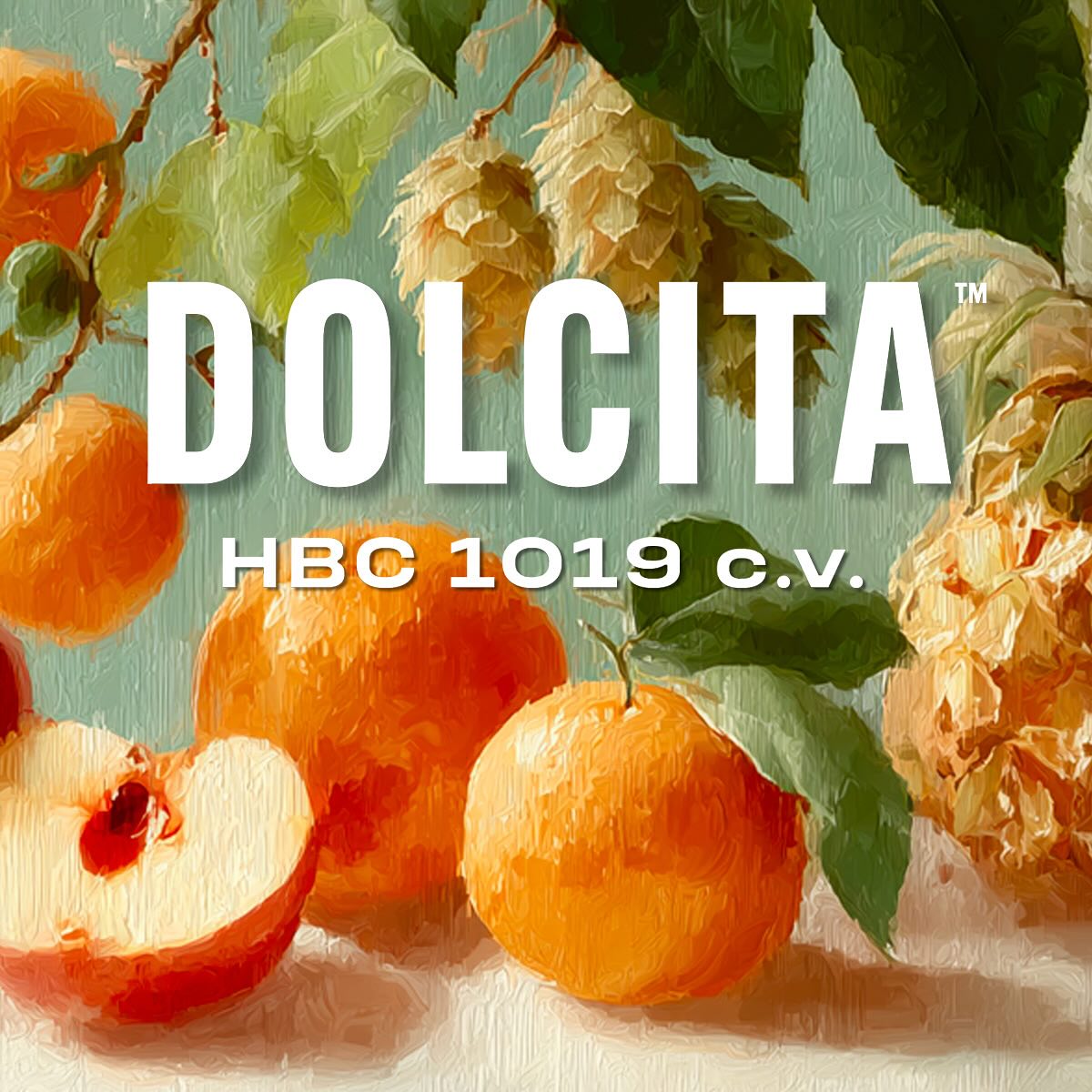 Meet Dolcita™ A hop as sweet as... - Hops Connect Canada | Facebook