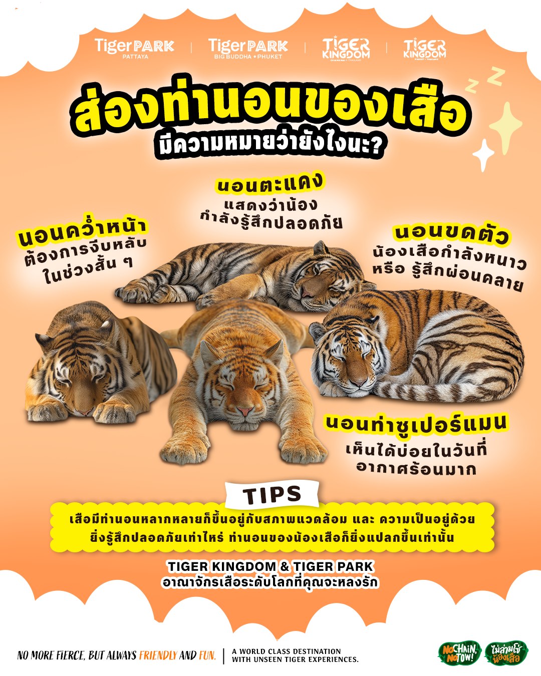 Tiger - ถ้าน้องเสือนอนแบบนี้หมายความว่ายังไงนะ? พี่ไทเกอร์รวบรวมมาให้ ...