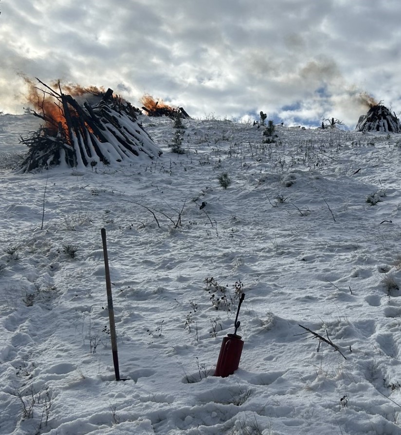 Bureau - The BLM will conduct prescribed burns this winter in parts of ...