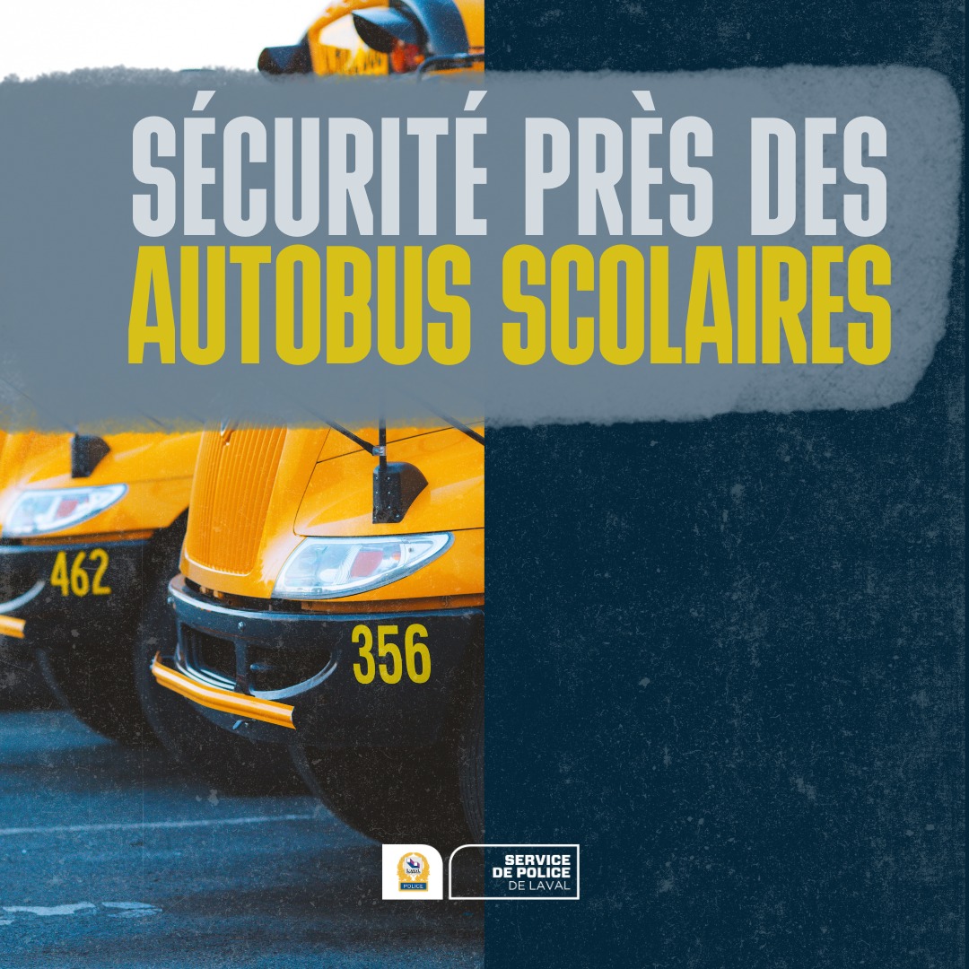 Lot De 25 épinglettes (pin's) 