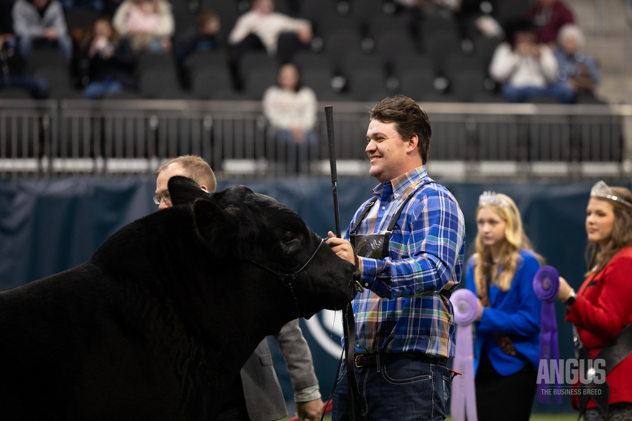 Strommen Livestock Services | Solen ND