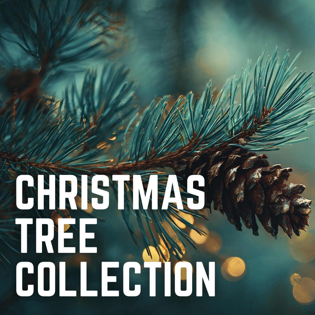 City - LRS collects live Christmas trees during the first two FULL ...