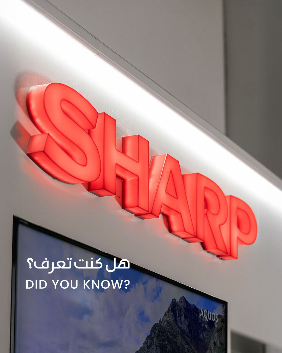 Al Hashar Electronics | Muscat