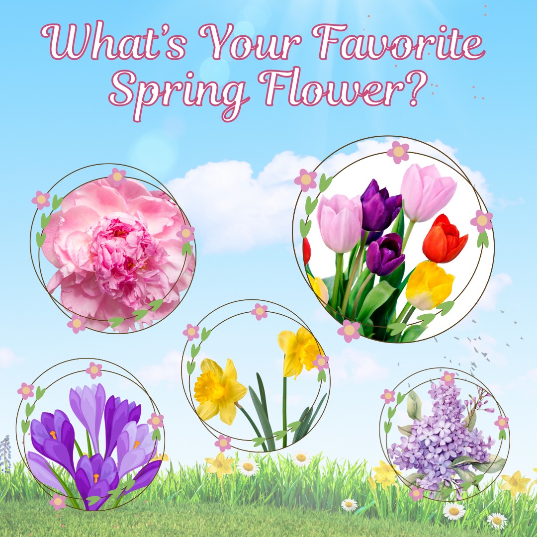 Contest time! In honor of spring... - Advantage Credit Union | Facebook