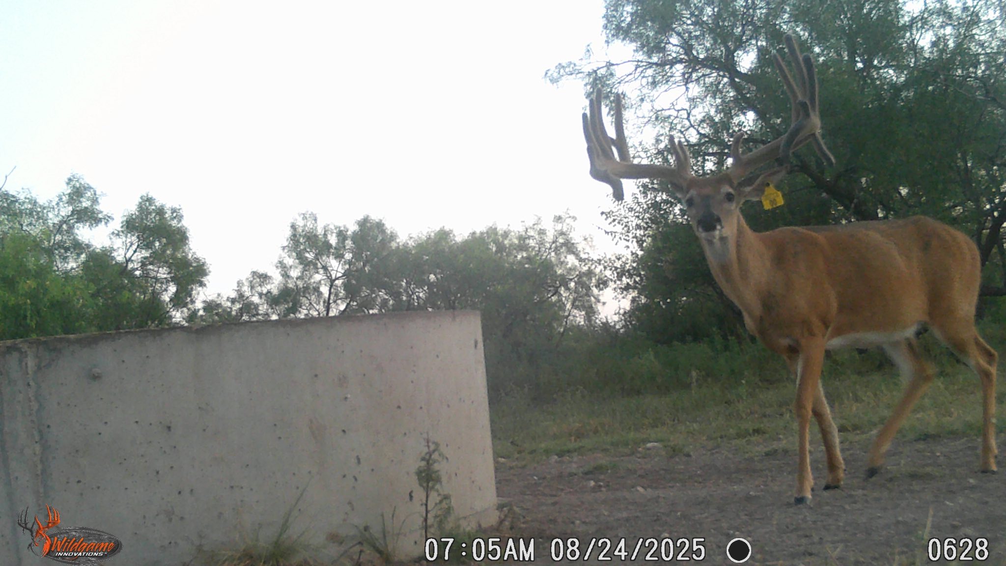 Lucky Draw Ranch | Menard TX