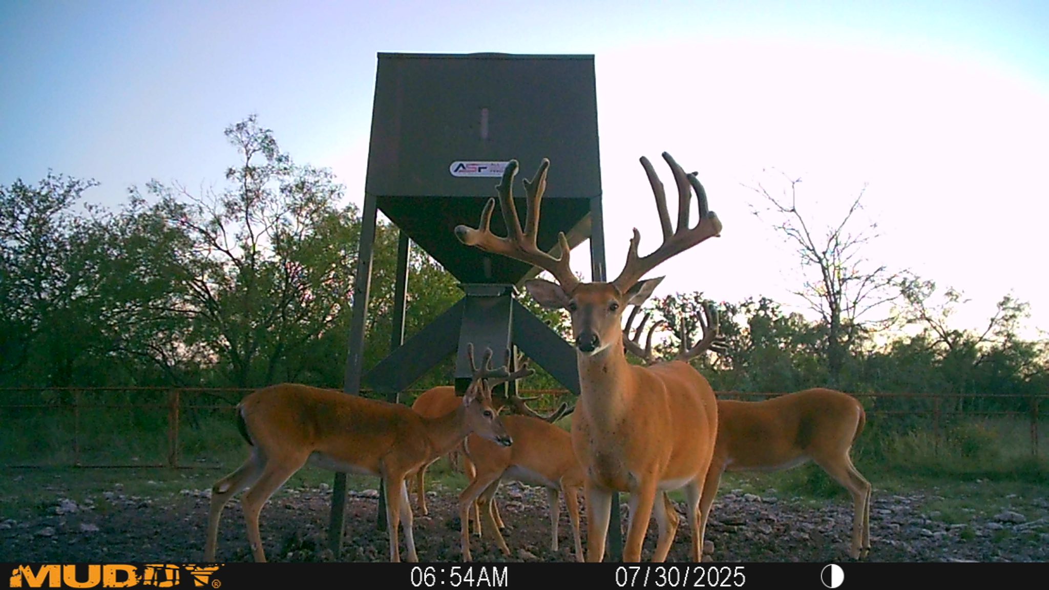 Lucky Draw Ranch | Menard TX