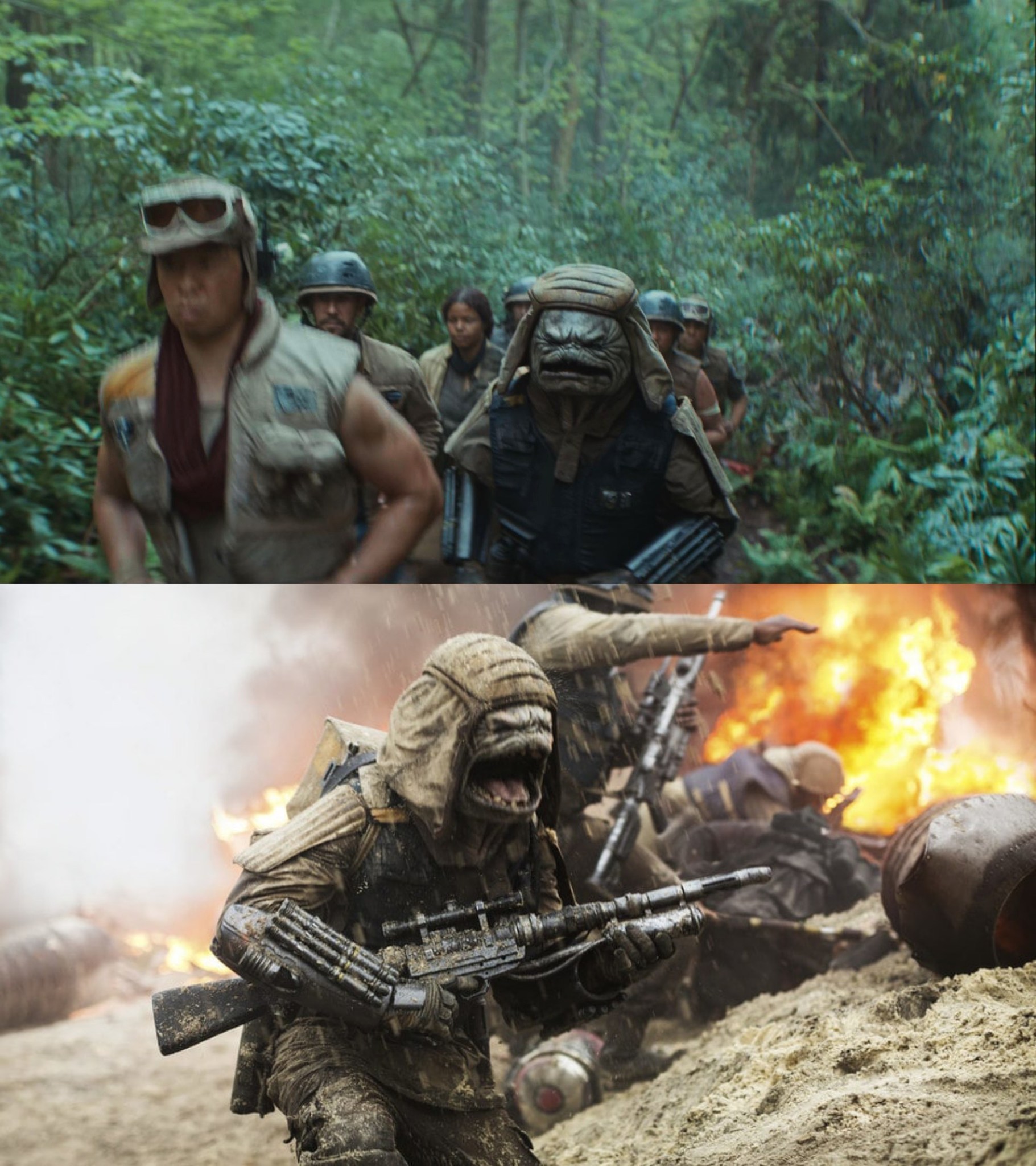 WookieeNews - Paodok'Draba'Takat Sap'De'Rekti Nik'Linke'Ti' Ki'Vef'Nik ...