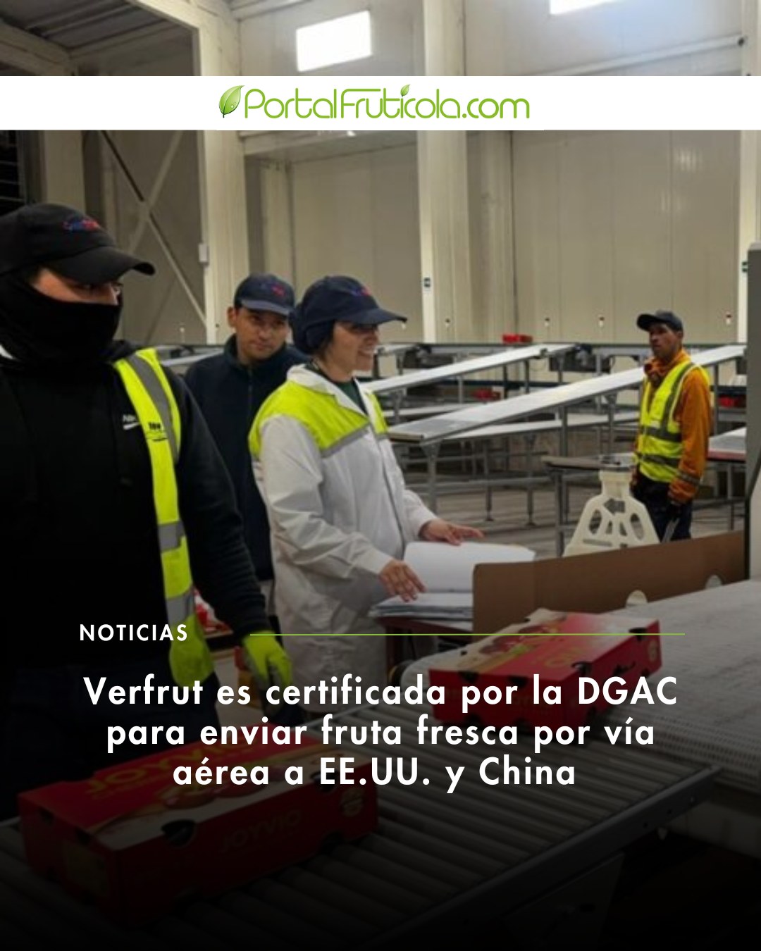 Portalfruticola.com - Verfrut obtiene certificación DGAC y ya está ...