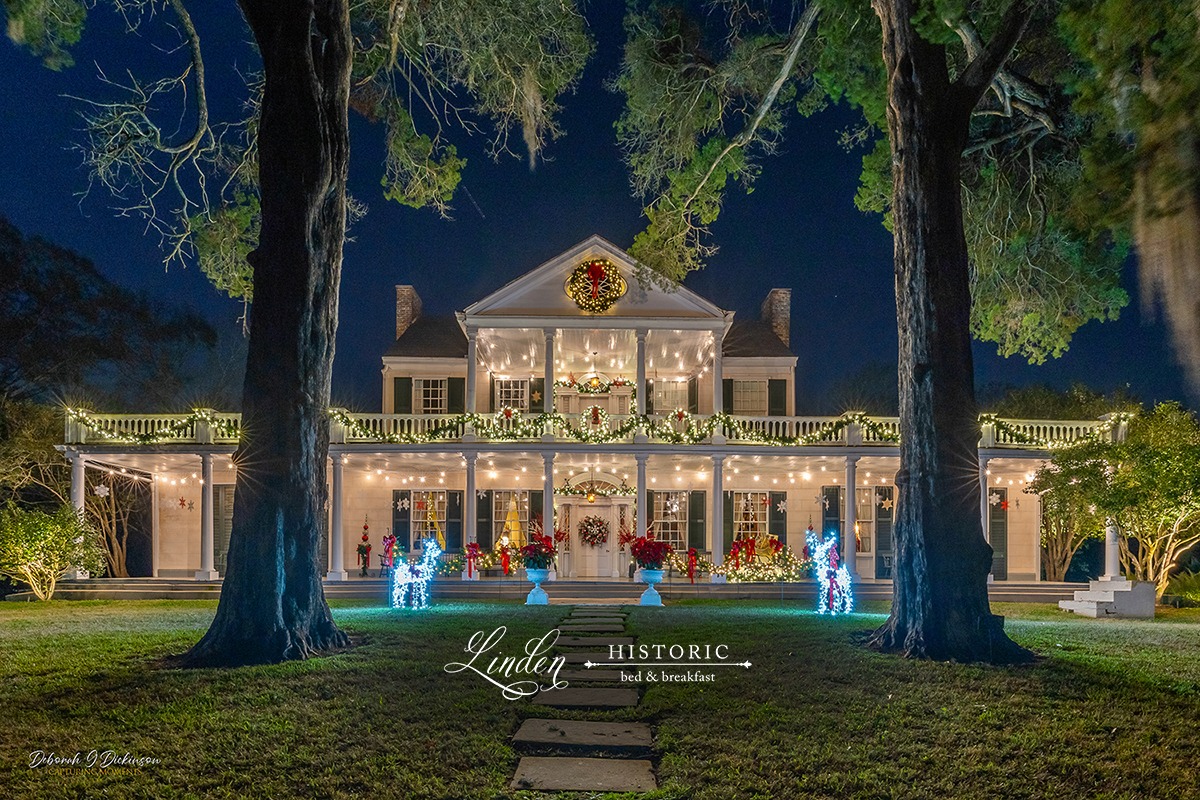 The Natchez - Step into the holiday spirit with the Christmas ...