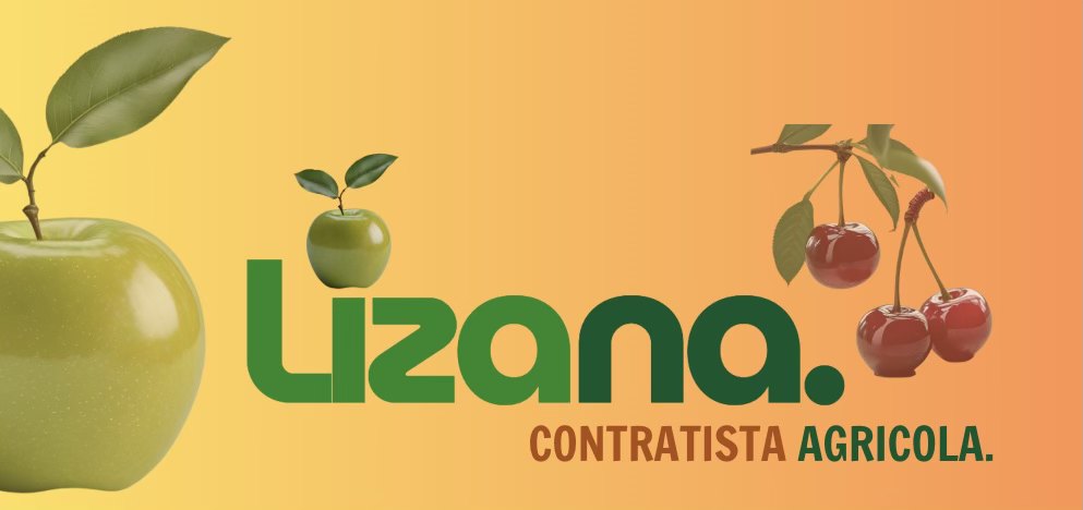 Lizana Contratista.