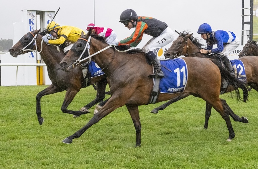 Racing NSW - 