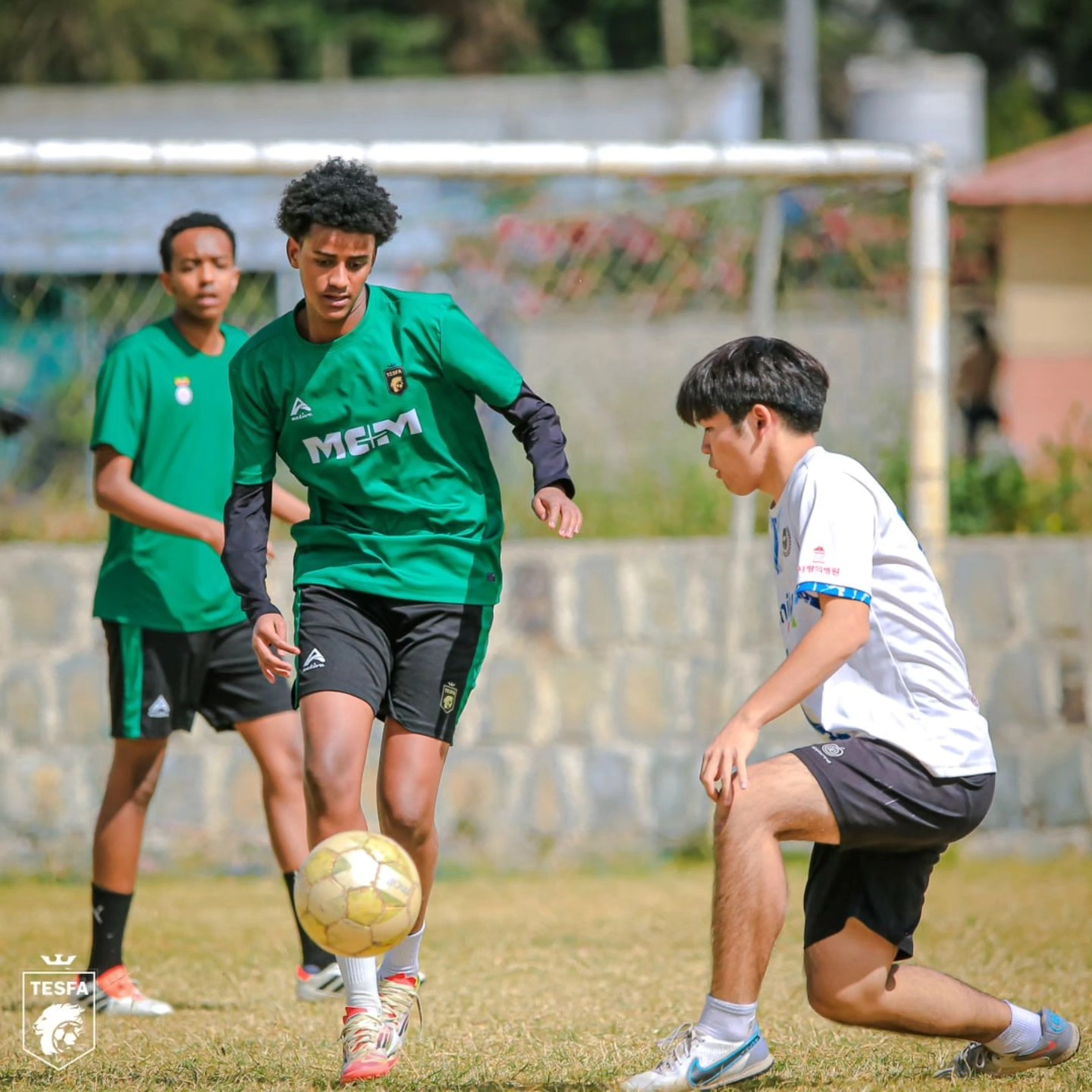 TESFA Football Academy | Addis Ababa