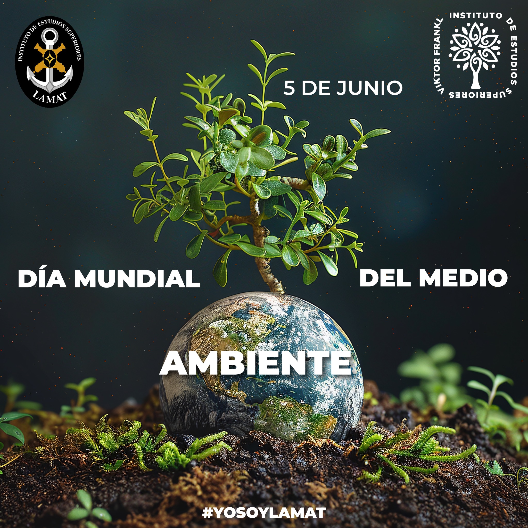 Universidad - 🌍💚 5 de Junio – Día Mundial del Medio Ambiente. Hoy ...