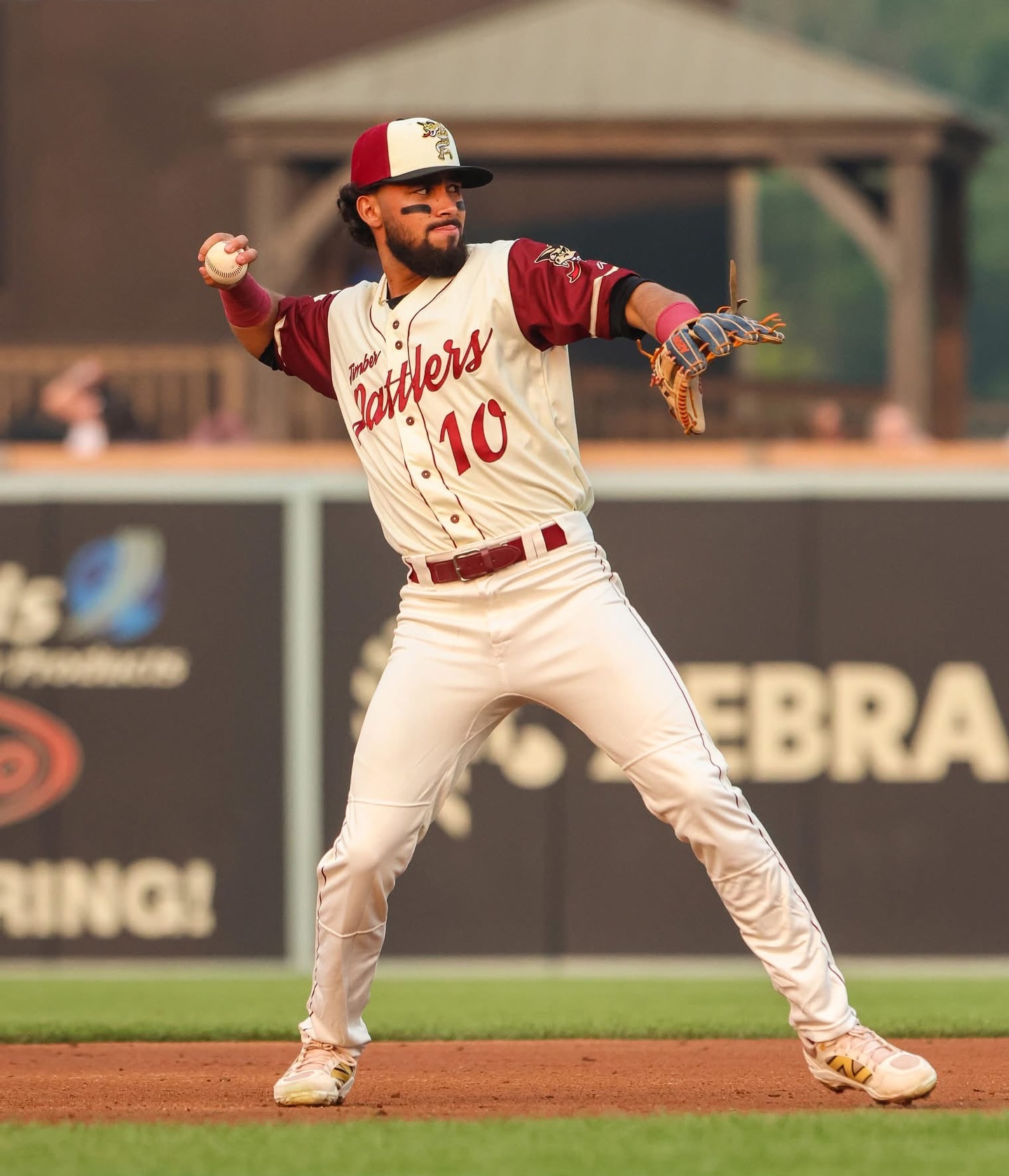 Wisconsin Timber Rattlers... - Wisconsin Timber Rattlers