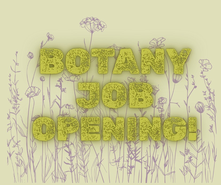 Montana - Montana State University is seeking a Plant Identification ...