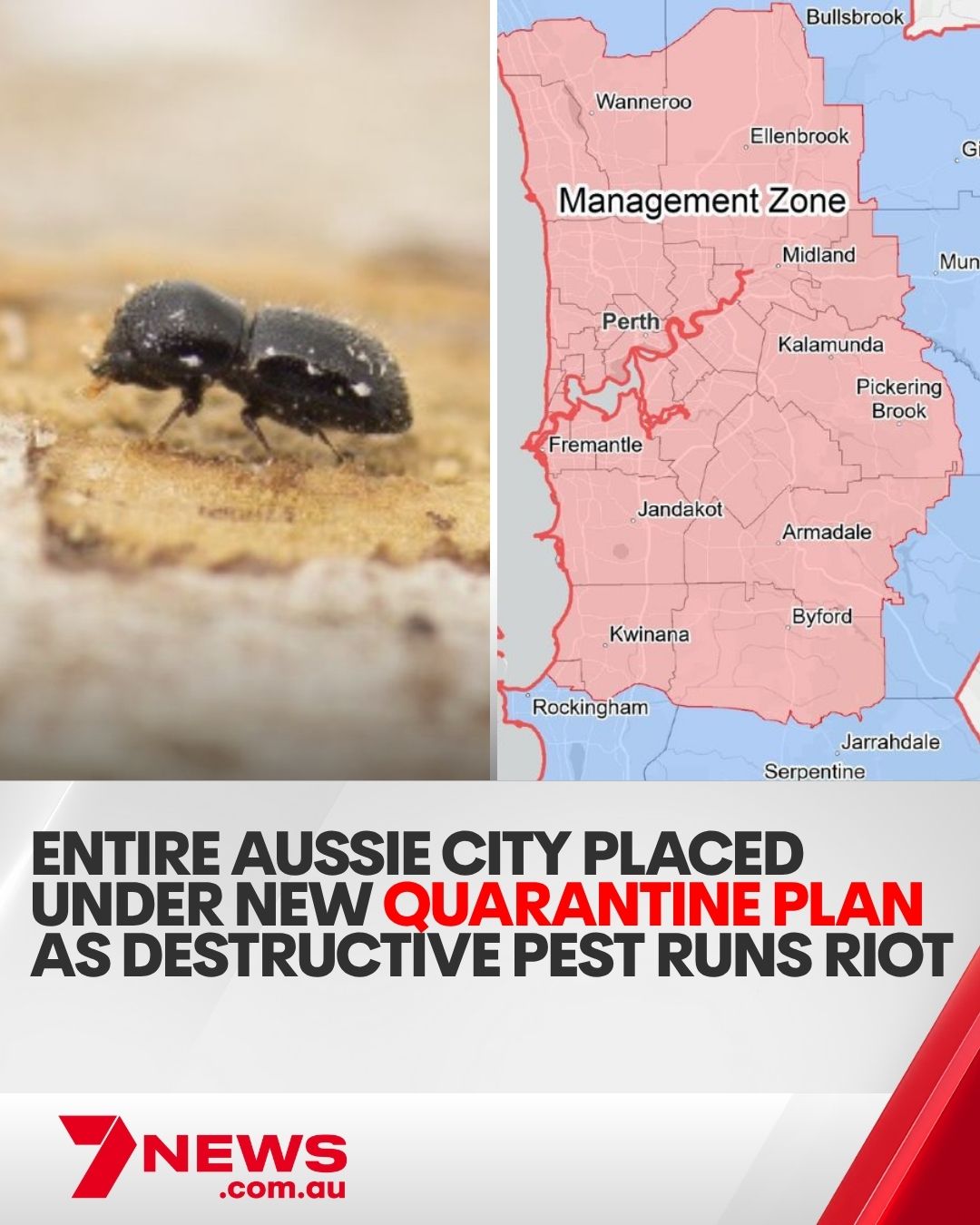 7NEWS - Authorities have already admitted it is no longer possible to ...