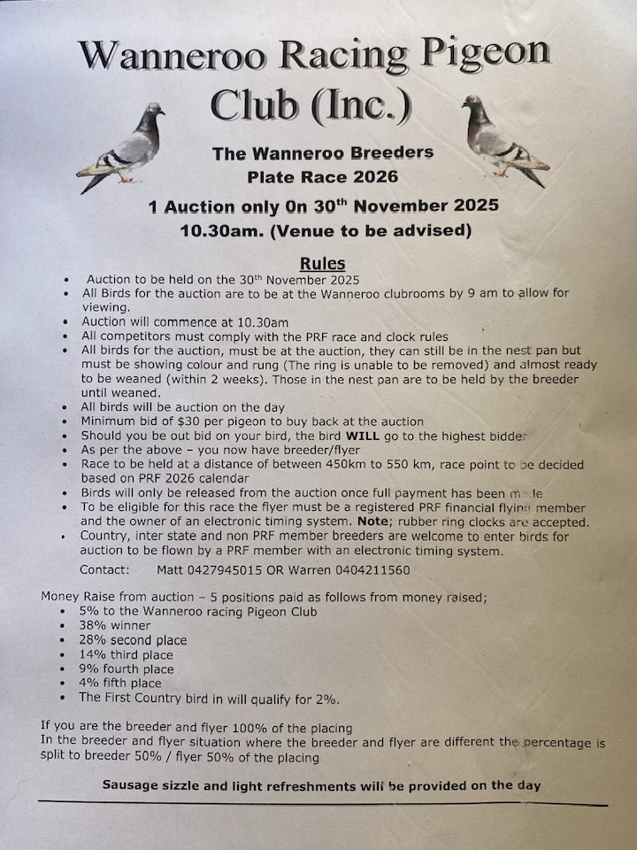 The Pigeon Racing Federation of W.A. (Inc.) | Perth WA