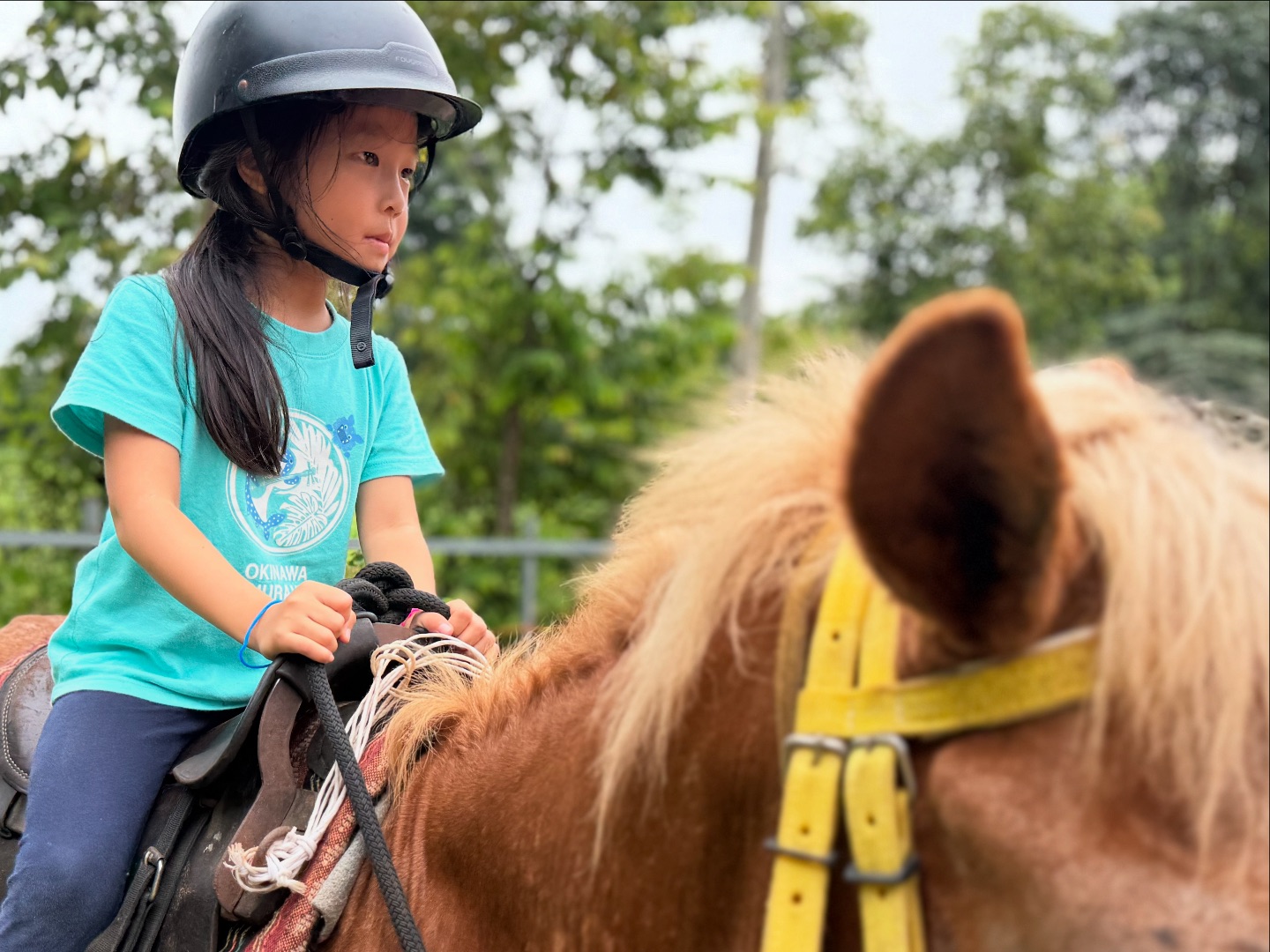 Our youngest... - Second Wind Ranch & Rescue เซคค่อนวินฟาร์ม | Facebook