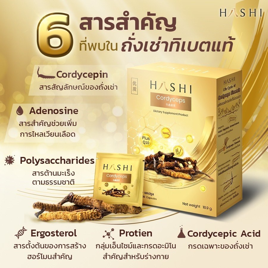 6 สารสำคัญที่พบในถังเช่าทิเบตแท้ 1. Codycepin สารสัญลักษณ์ของถังเช่า 2 ...