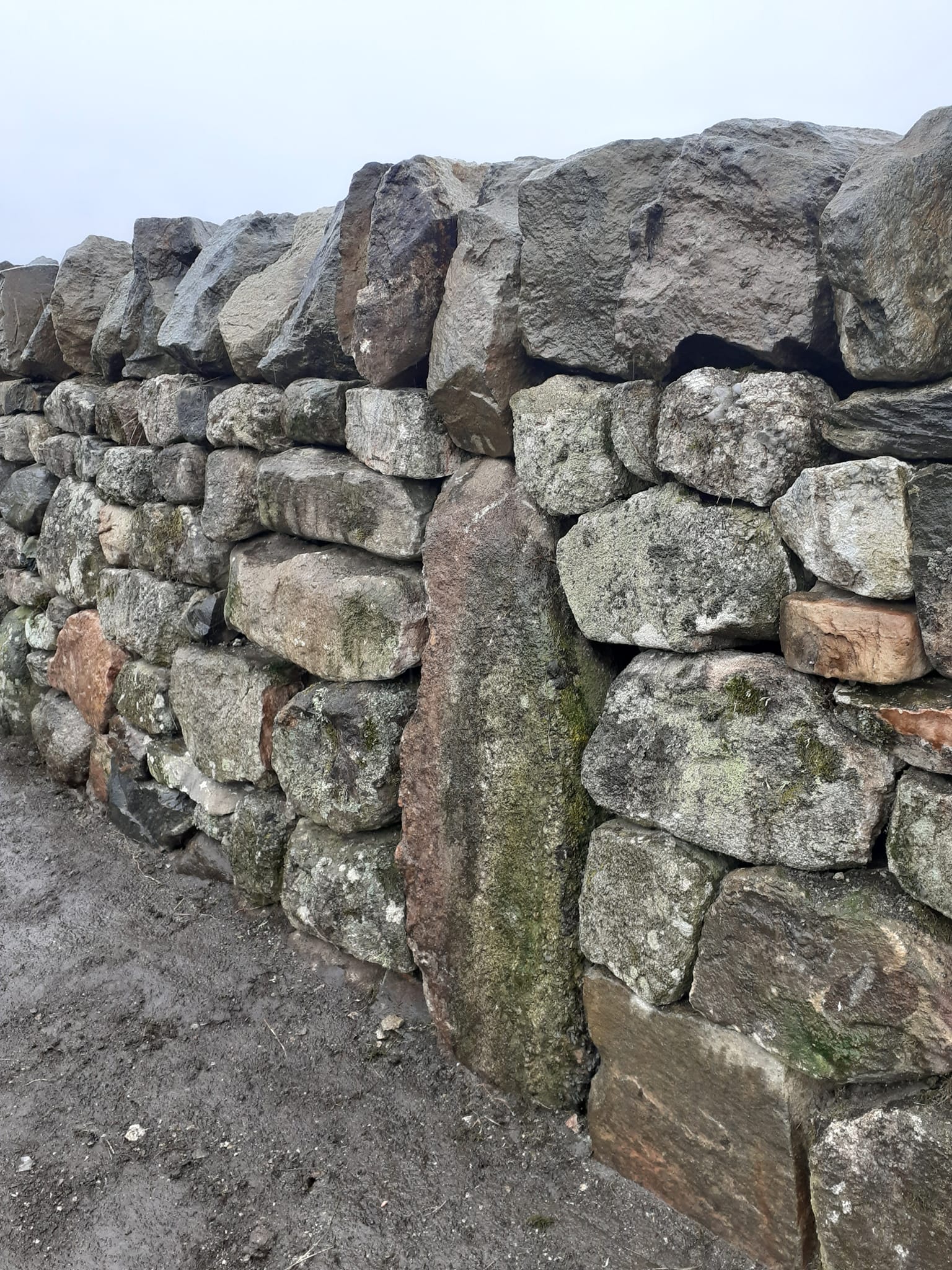 Angus Drystone | Forfar