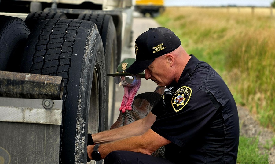 Wyoming - Keep your rig right, your papers proper and keep America ...