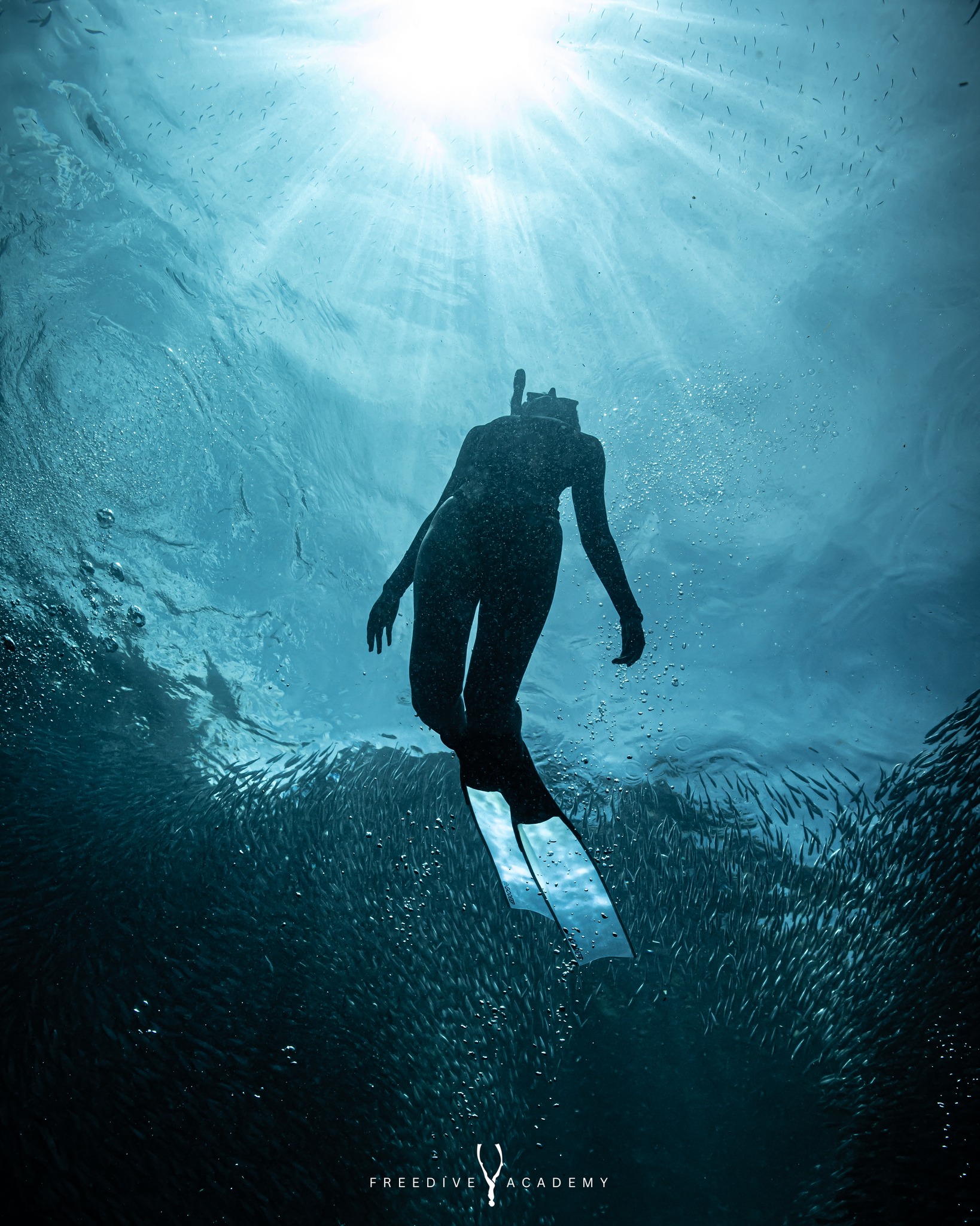 Freedive Academy Panglao | Panglao