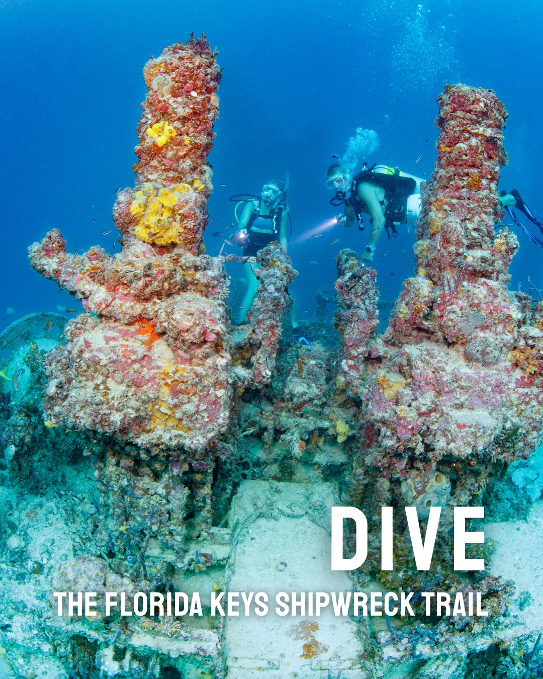 The Florida - The world's second-largest ship ever sunk as an ...