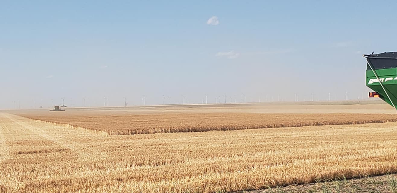 Thomas and Reed Farms, Inc. | Montezuma KS