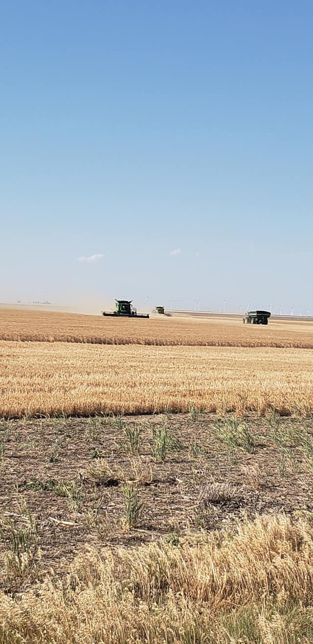 Thomas and Reed Farms, Inc. | Montezuma KS