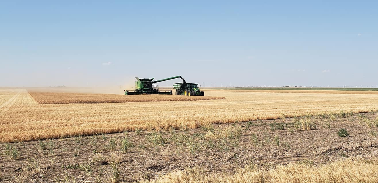 Thomas and Reed Farms, Inc. | Montezuma KS