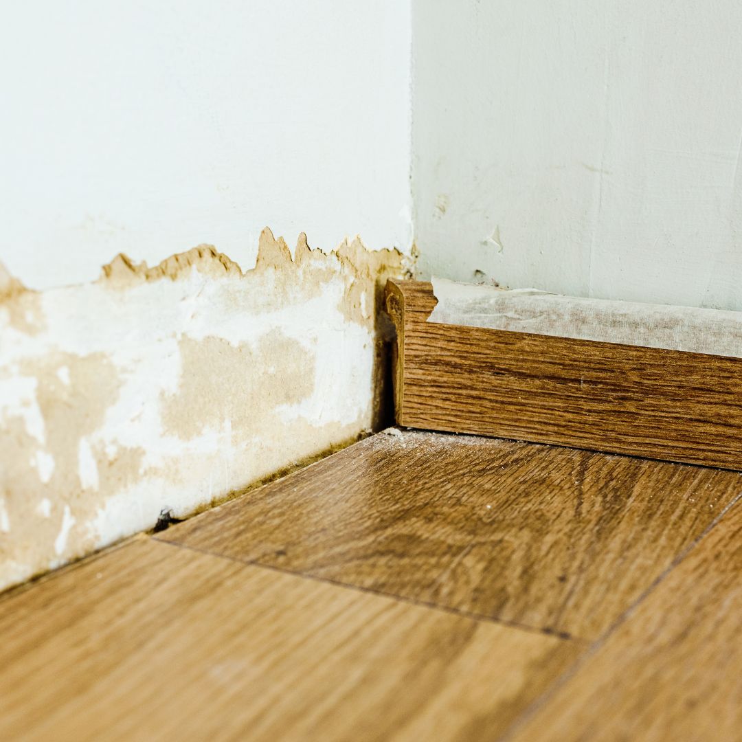 LuxLiv - 𝗧𝗵𝗲 𝗛𝗶𝗱𝗱𝗲𝗻 𝗧𝗵𝗿𝗲𝗮𝘁 𝗼𝗳 𝗗𝗮𝗺𝗽 Damp often acts like an iceberg ...