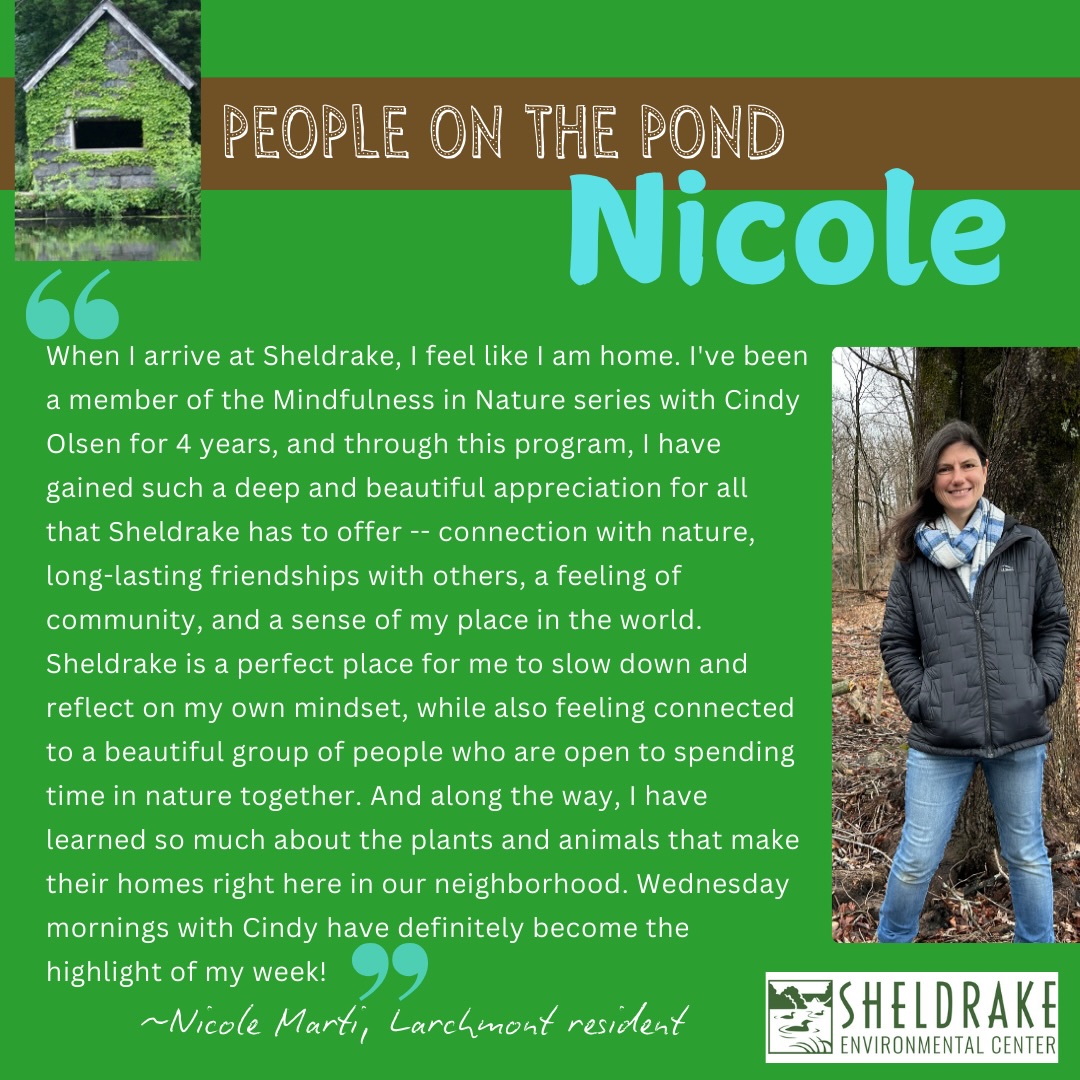 Sheldrake Environmental... - Sheldrake Environmental Center