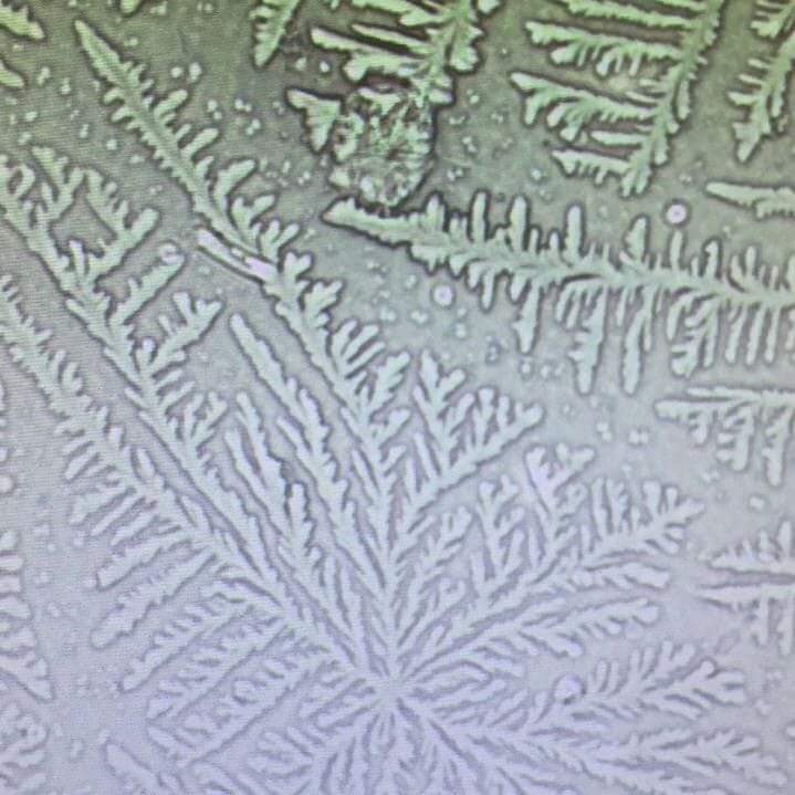 Budak Lab - Fern test. Apa itu fern test? Fern test...