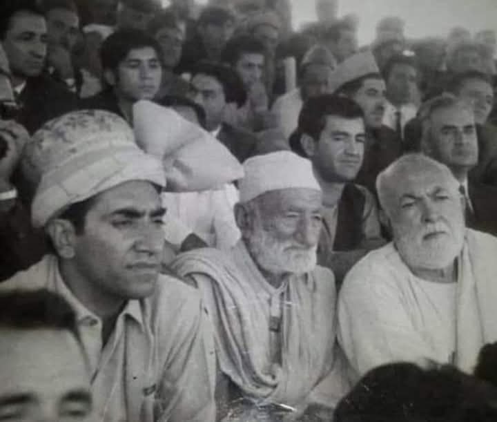 دہ - باچا خان، خان عبدالغفار خان، خان عبدالصمد خان اچکزئی، اور ملک نادر ...