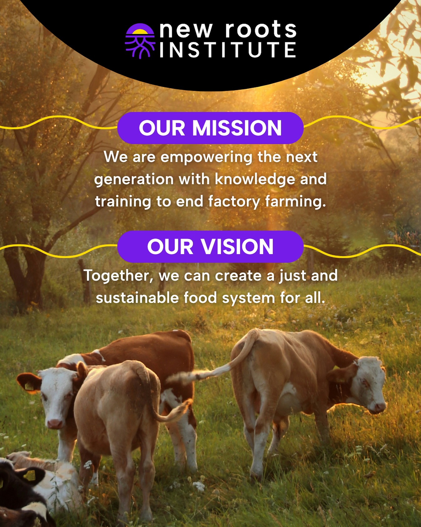 New Roots Institute