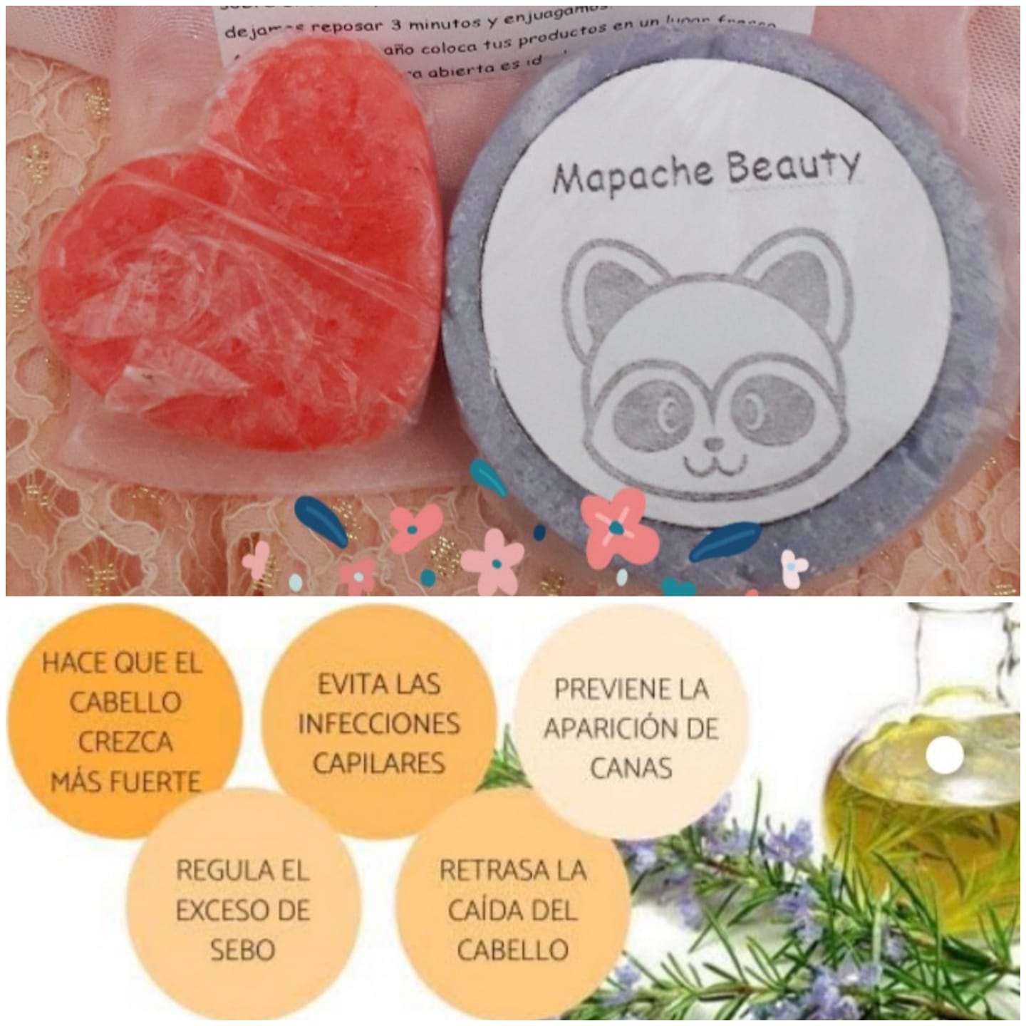 Mapache Beauty Shop | Mexico City