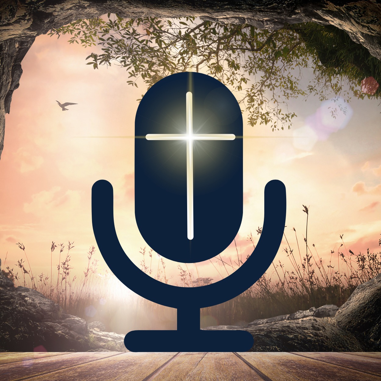 Divine Mercy Radio 540AM on-air today, a NEW episode of Vocation Voices ...