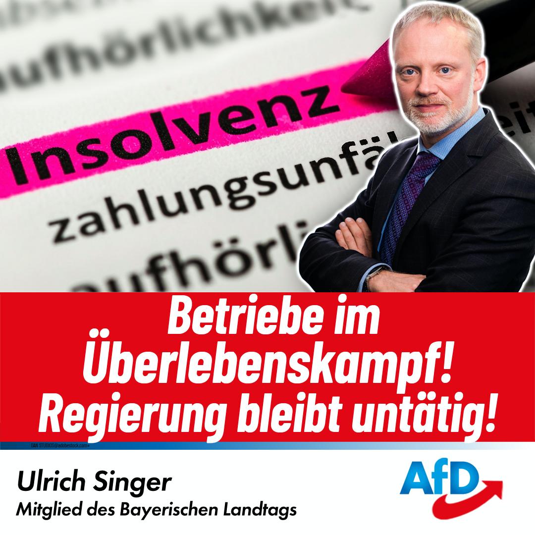 Ulrich Singer