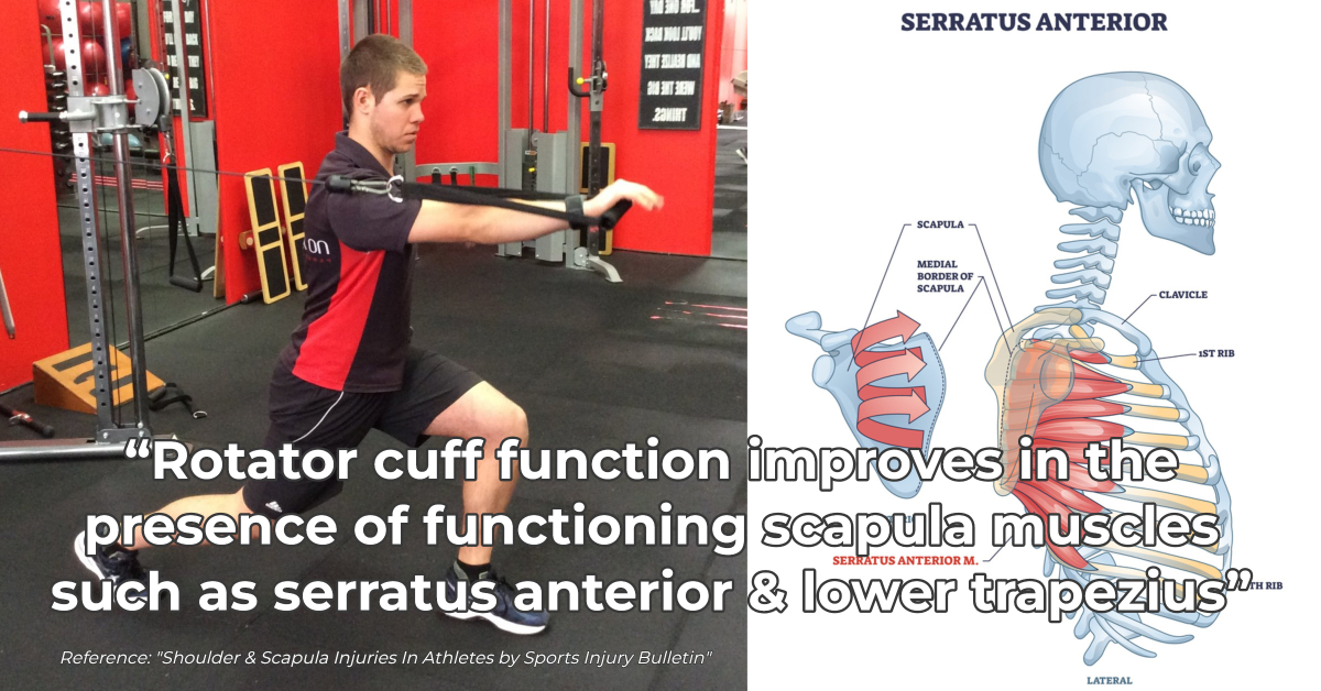 Functional - Two Problems That Make It Difficult To Strengthen Serratus ...
