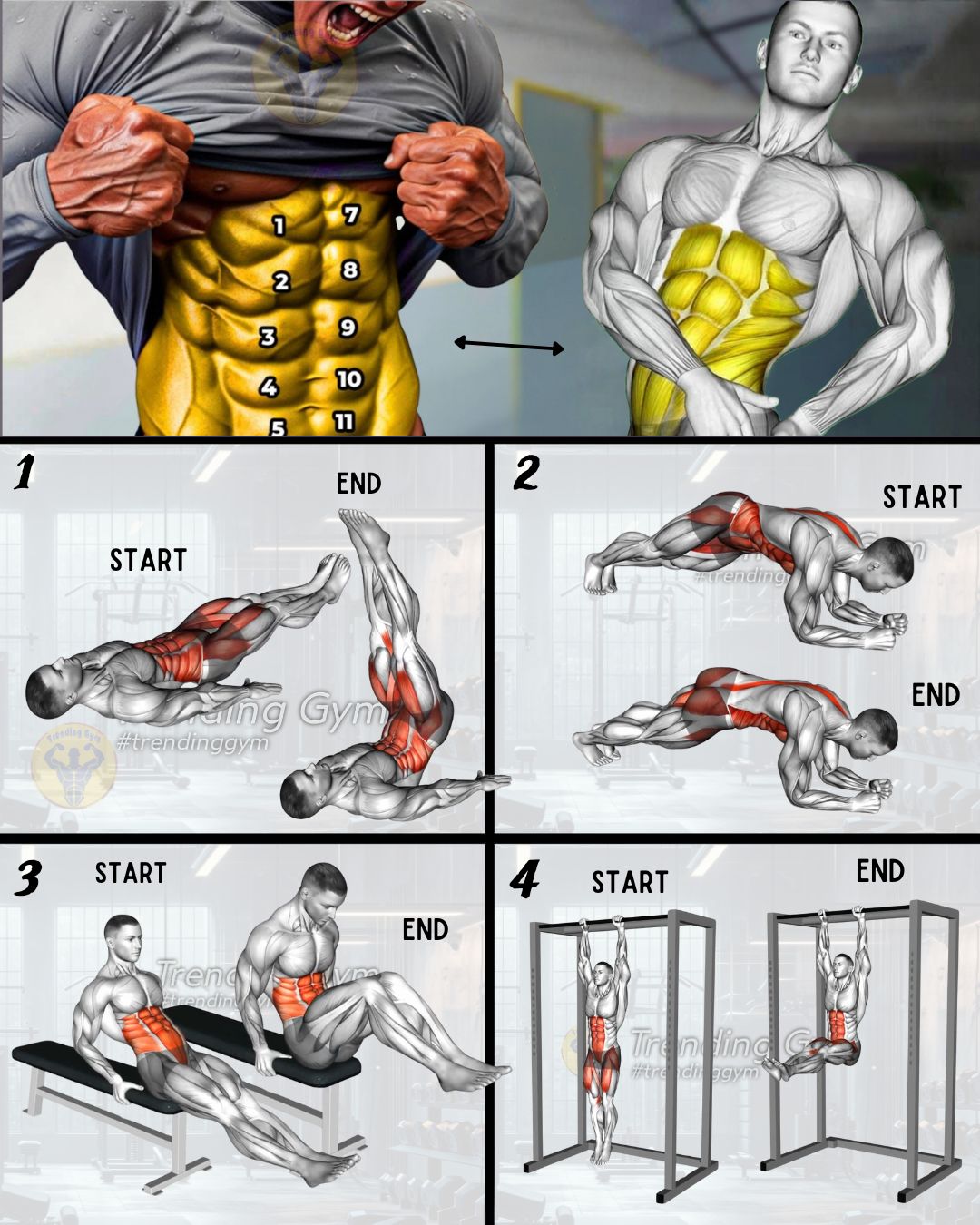 Trending - 4 Best Abdominal Exercises Routine - Abs Workout🔥 ① Lying ...